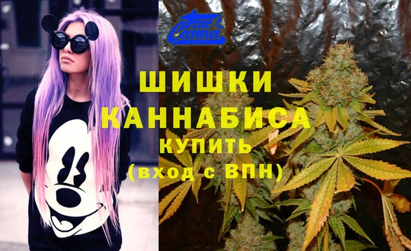 твердый Лабытнанги