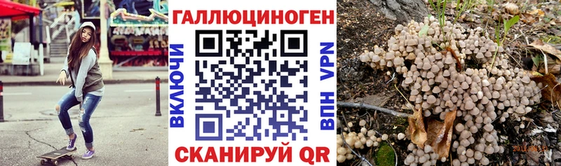 mega зеркало  где продают наркотики  Цимлянск  Псилоцибиновые грибы Psilocybe 