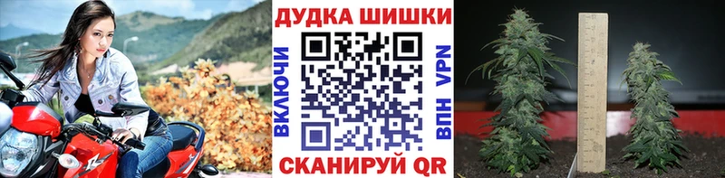 KRAKEN ТОР  Цимлянск  Шишки марихуана гибрид 